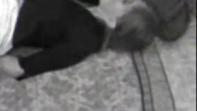 امیلی شکوفه سکس خفن در تلگرام